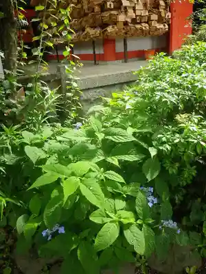 荏柄天神社のその他建物