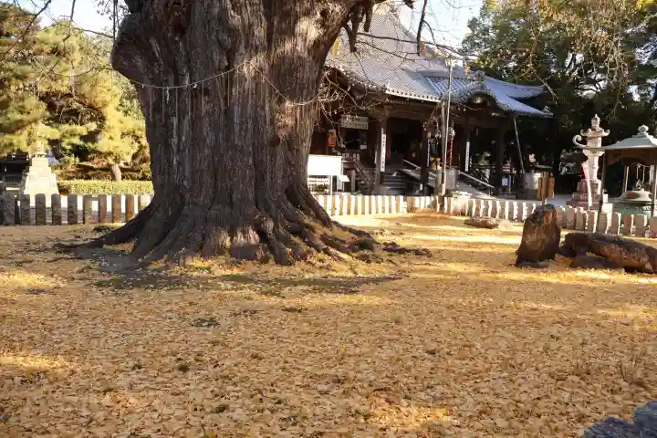 鑁阿寺(栃木県)