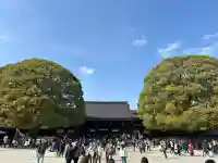 明治神宮(東京都)