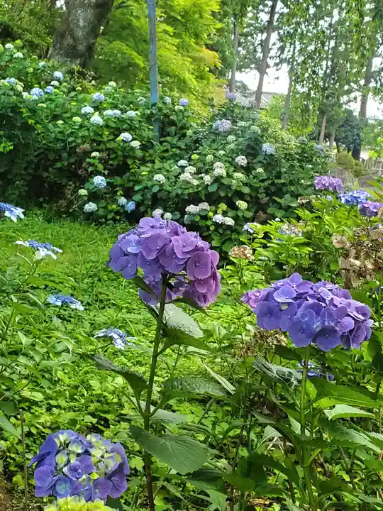 上合寺(福島県)