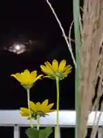 磐椅神社の自然