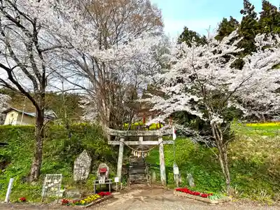 戸隠神社の鳥居