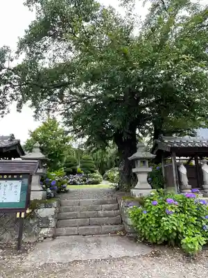 法船寺のその他建物