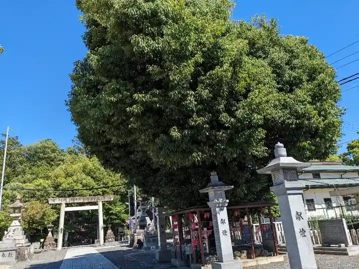 白山神社(二子町)の自然