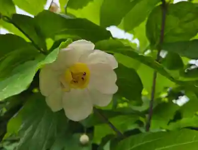 沙沙貴神社(滋賀県)