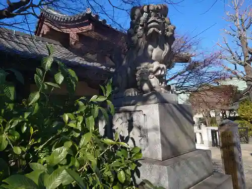 石濱神社の狛犬