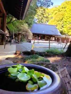 乃木神社(東京都)