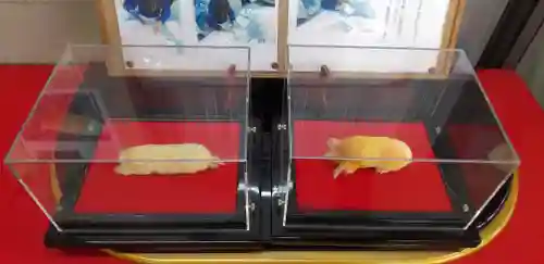 下野 星宮神社(栃木県)