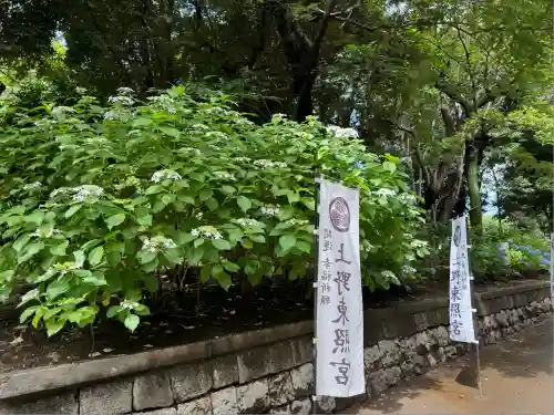 上野東照宮(東京都)