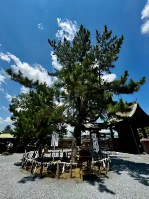阿蘇神社(熊本県)