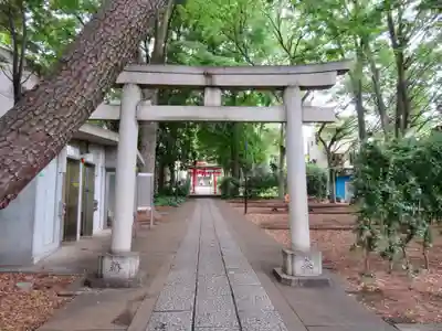 自由が丘熊野神社の鳥居