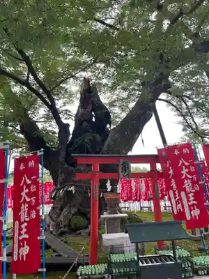 秩父今宮神社(埼玉県)