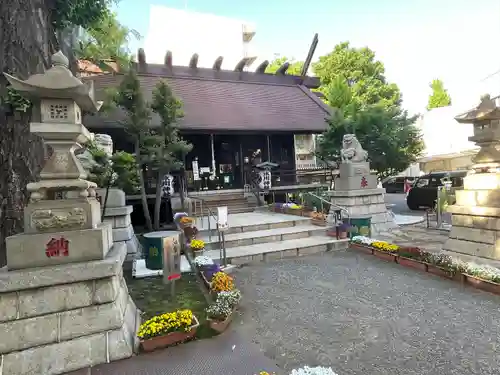 高円寺氷川神社の本殿・本堂