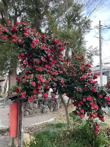 五社神社(京都府)