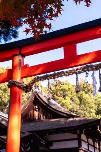 賀茂別雷神社（上賀茂神社）(京都府)