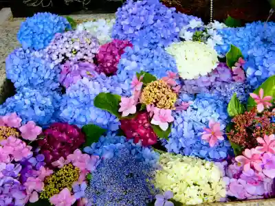 鎮守氷川神社の手水舎