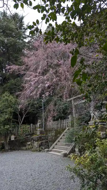 大豊神社(京都府)