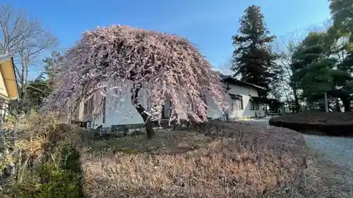 朝日森天満宮の庭園