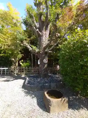 市谷亀岡八幡宮(東京都)