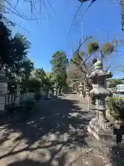 多岐神社(岐阜県)