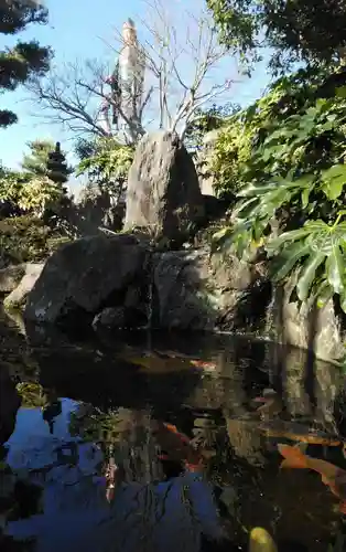 香山昇竜大観音の自然