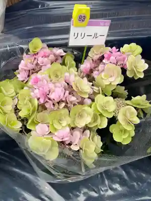 長國寺(東京都)