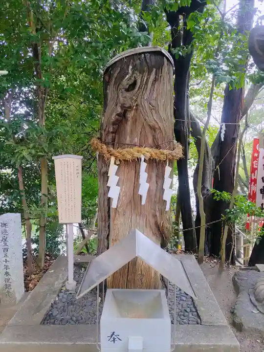 白山神社(二子町)の自然