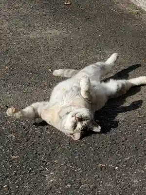熊野神社の動物