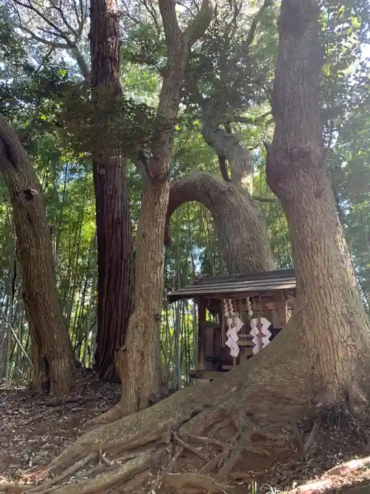 大佐倉麻賀多神社(千葉県)