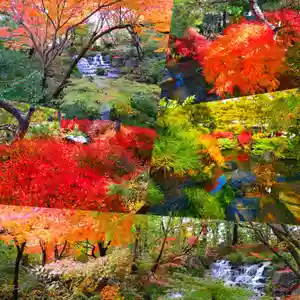 寿量山 速成寺(奈良県)(2023年11月28日(火) 21時22分24秒投稿)