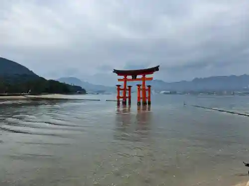 厳島神社の{uncategorized: "未分類", other: "その他", undefined: "問題あり", building: "その他建物", grave: "お墓", sacred_gate: "鳥居", guardian: "狛犬", statue: "像", buddha: "仏像", history: "歴史", nature: "自然", garden: "庭園", animal: "動物", pagoda: "塔", temizu: "手水舎", mountain_gate: "山門・神門", sanctuary: "本殿・本堂", subordinate: "末社・摂社", art: "芸術", scenery: "景色", jizo: "地蔵", ema: "絵馬", goshuin: "御朱印", omikuji: "おみくじ", items: "授与品その他", amulet: "お守り", goshuincho: "御朱印帳", eats: "食事", festival: "お祭り", votive_dance: "神楽", shichigosan: "七五三参", wedding: "結婚式", experience: "体験その他", initially: "初詣", around: "周辺", anti_infection: "感染症対策"}