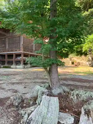 伊王野温泉神社(栃木県)