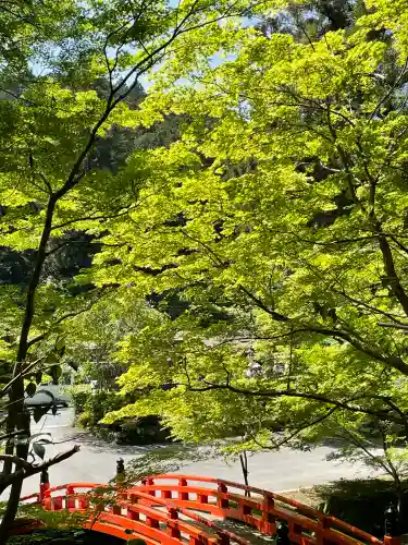 小國神社の{uncategorized: "未分類", other: "その他", undefined: "問題あり", building: "その他建物", grave: "お墓", sacred_gate: "鳥居", guardian: "狛犬", statue: "像", buddha: "仏像", history: "歴史", nature: "自然", garden: "庭園", animal: "動物", pagoda: "塔", temizu: "手水舎", mountain_gate: "山門・神門", sanctuary: "本殿・本堂", subordinate: "末社・摂社", art: "芸術", scenery: "景色", jizo: "地蔵", ema: "絵馬", goshuin: "御朱印", omikuji: "おみくじ", items: "授与品その他", amulet: "お守り", goshuincho: "御朱印帳", eats: "食事", festival: "お祭り", votive_dance: "神楽", shichigosan: "七五三参", wedding: "結婚式", experience: "体験その他", initially: "初詣", around: "周辺", anti_infection: "感染症対策"}