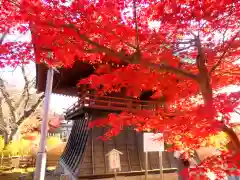 本土寺の建物その他