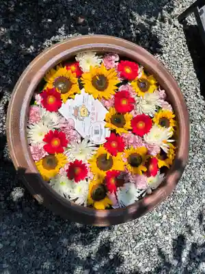 釋迦院(釈迦院)(大阪府)