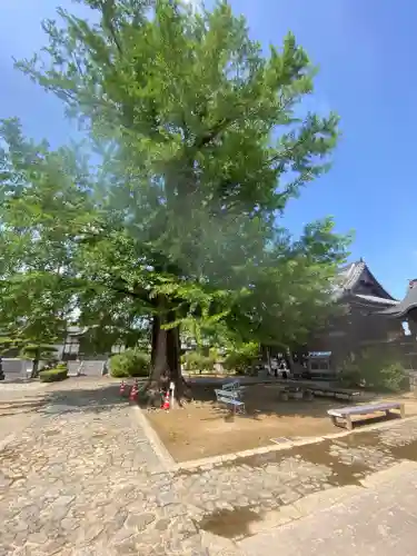 地蔵寺(徳島県)