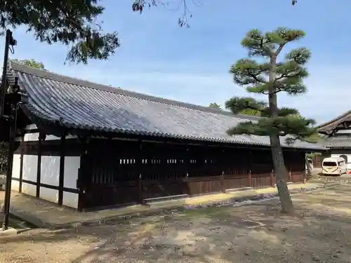 東福禅寺（東福寺）(京都府)