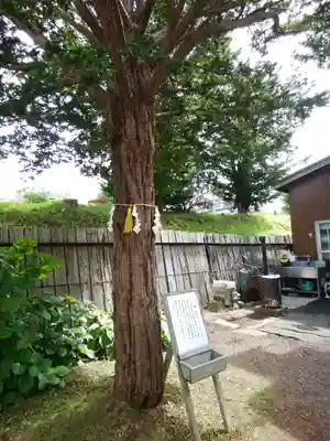 森三吉神社のその他建物