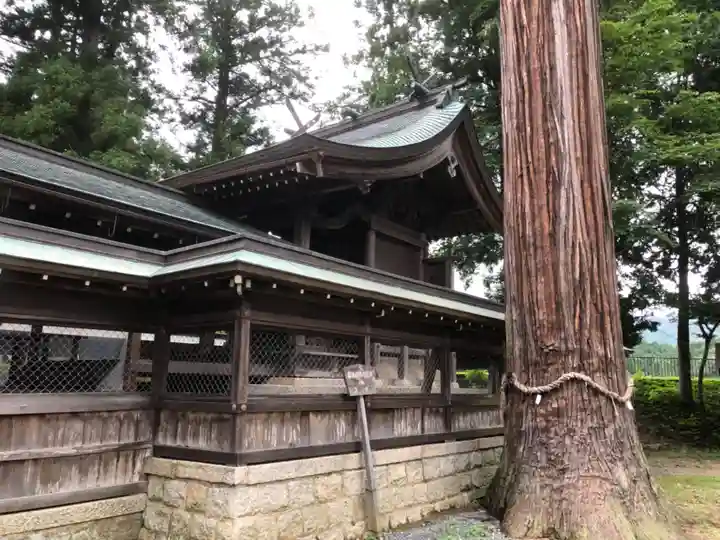 天照玉命神社(京都府)