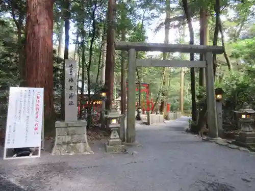 椿大神社の鳥居