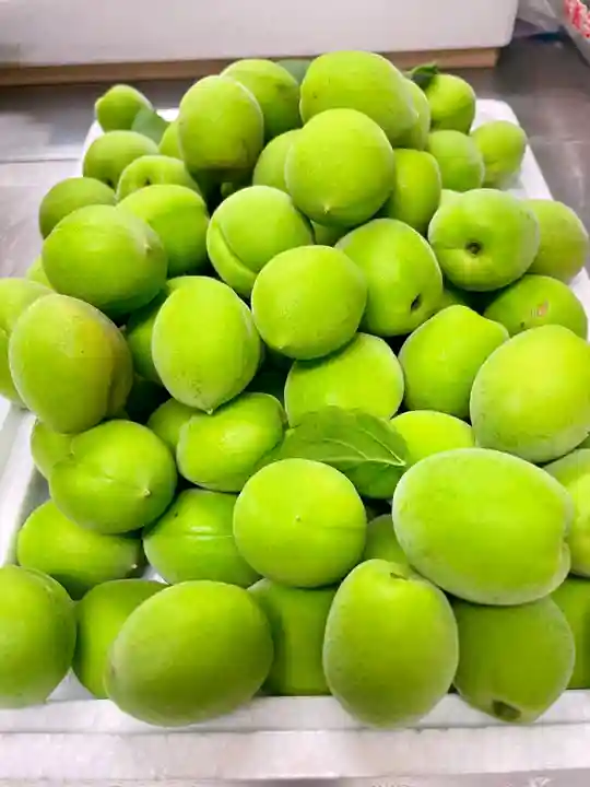 當光寺(東京都)