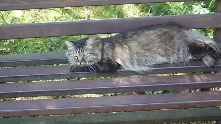 山梨縣護國神社(山梨県)