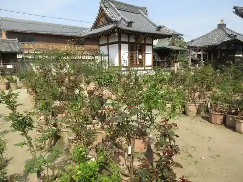 おふさ観音の庭園