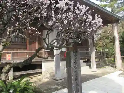 極楽寺（霊鷲山感應院極楽律寺）のその他建物