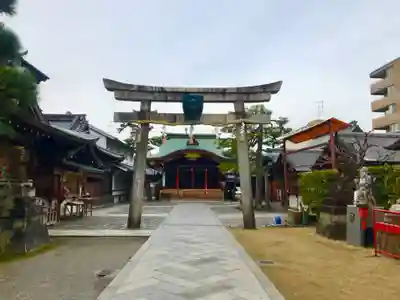 京都ゑびす神社の鳥居
