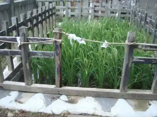 御作田社のその他建物