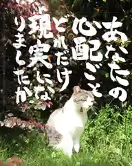 専念寺(大阪府)