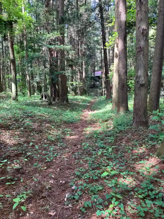 浅間神社の{uncategorized: "未分類", other: "その他", undefined: "問題あり", building: "その他建物", grave: "お墓", sacred_gate: "鳥居", guardian: "狛犬", statue: "像", buddha: "仏像", history: "歴史", nature: "自然", garden: "庭園", animal: "動物", pagoda: "塔", temizu: "手水舎", mountain_gate: "山門・神門", sanctuary: "本殿・本堂", subordinate: "末社・摂社", art: "芸術", scenery: "景色", jizo: "地蔵", ema: "絵馬", goshuin: "御朱印", omikuji: "おみくじ", items: "授与品その他", amulet: "お守り", goshuincho: "御朱印帳", eats: "食事", festival: "お祭り", votive_dance: "神楽", shichigosan: "七五三参", wedding: "結婚式", experience: "体験その他", initially: "初詣", around: "周辺", anti_infection: "感染症対策"}