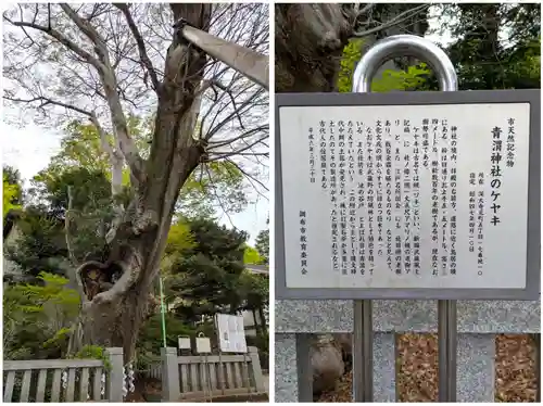 青渭神社(東京都)