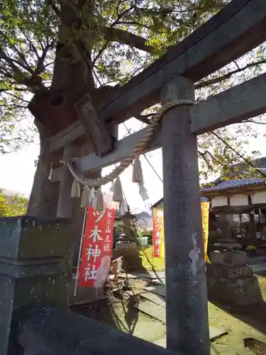 三ツ木神社の鳥居